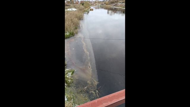 Новогоднее видео 2024! смотреть онлайн