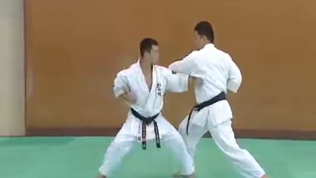 2 Bunkai Kumite Pin An Sono Ni Gedan Barai