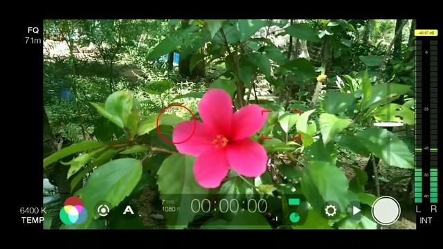 Best Video Camera App For Android | Cenima Fv-5 | Open Camera | Filmic-pro | Cinema 4k Record Video