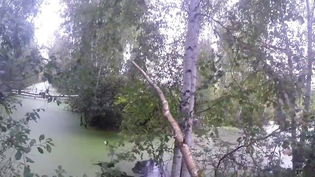 Ловля щуки на живца,видео rybachil.ru смотреть онлайн