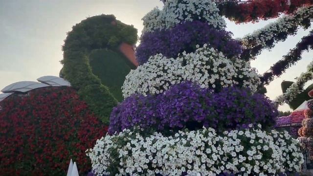 MIRACLE GARDEN AND BUTTERFLY GARDEN - DUBAI # BEST TOURIST ATTRACTION IN DUBAI смотреть онлайн