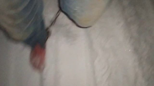 Раба одели опять в кандалы и заперли в пояс верности!