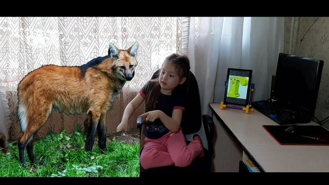 МИР ЖИВОТНЫХ ПО АЛФАВИТУ...... смотреть онлайн
