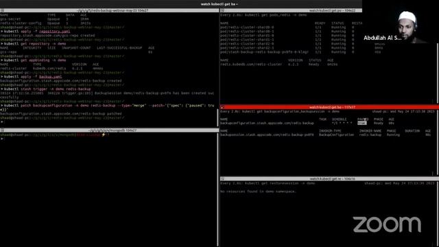 Backup & Restore Redis Cluster with Stash смотреть онлайн
