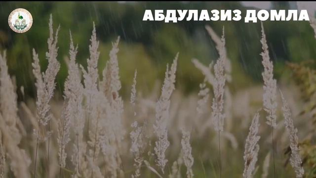 ABDULAZIZ DOMLA-FITRAT SO’ZINING MA’NOSI / ФИТРАТ СЎЗИНИНГ МАЪНОСИ #хикмат #ислом #абдулазиздомла