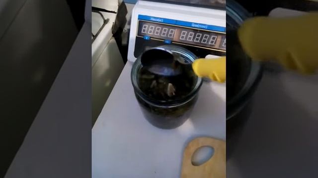 Борщ со щавелем!!!!