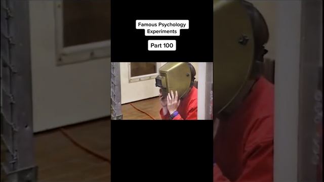 Kanzi Bonobo & Spoken English Comprehension смотреть онлайн