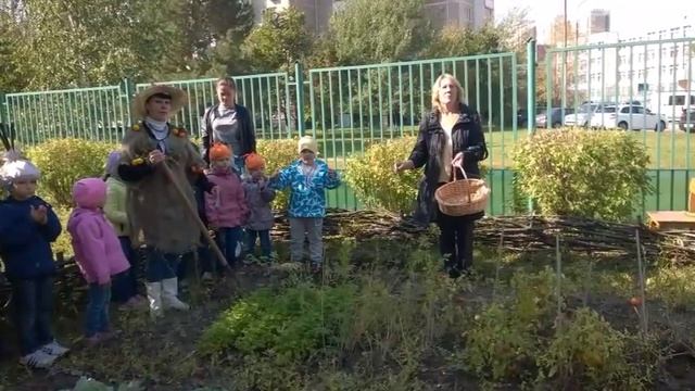 Праздник урожая в ДО№ 3 ГБОУ лицей № 1793 смотреть онлайн
