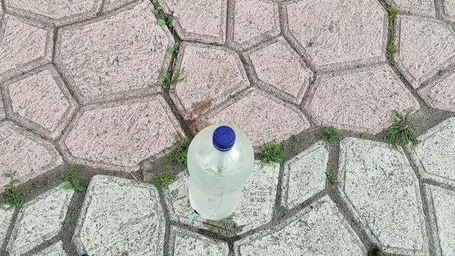 КРАПЕЛЬНИЙ ПОЛИВ ІЗ ПЛАСТИКОВИХ ПЛЯШОК СВОЇМИ РУКАМИ