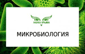 Как проходят будни микробиолога?