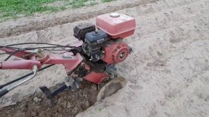 Рыхление междурадий картошки фрезами