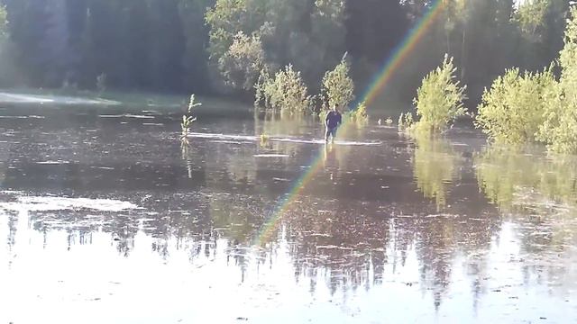 Дорога по воде. смотреть онлайн