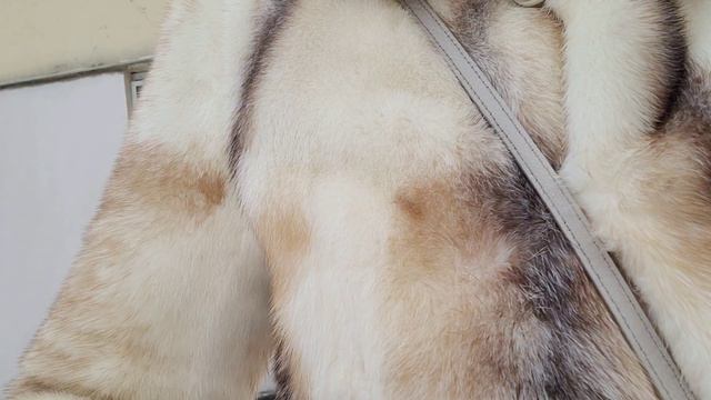 ДР/ Самый красивый букет для моей мамочки/ Праздничный стол/ Все в сборе/ Анонс/ Танцуют все! смотреть онлайн