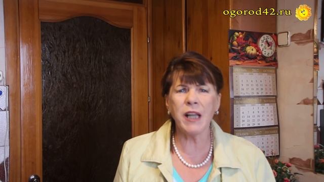 Чесночная приправа с аронией. Профилактика болезней и вкуснятинка смотреть онлайн