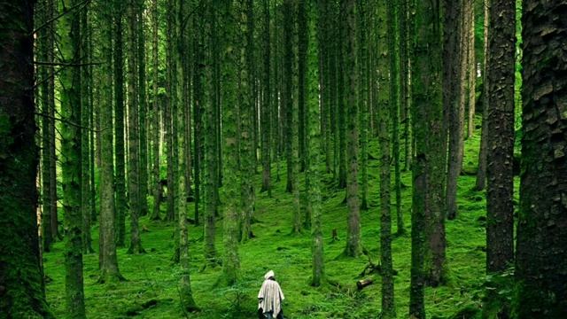 The most amazing music collection, relaxing music. Музыка для сна. смотреть онлайн