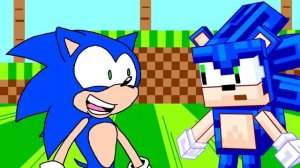 Sonic Meets Minecraft Sonic