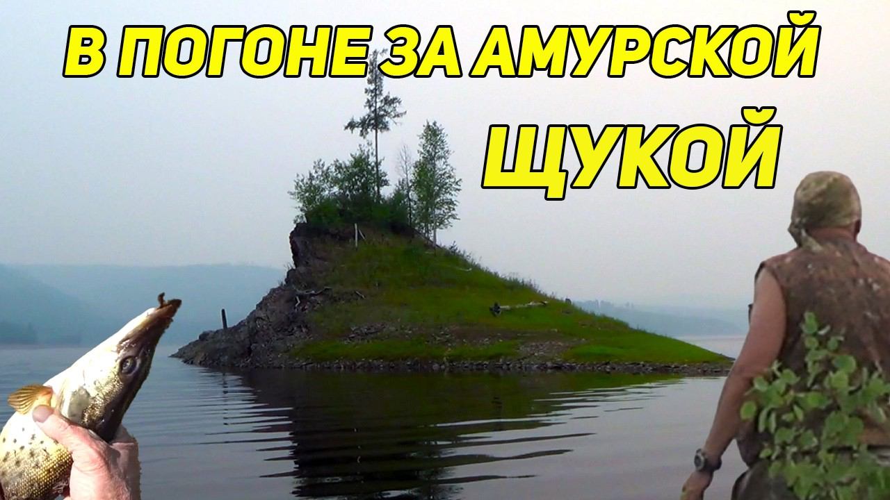 ✔️ В ПОГОНЕ ЗА АМУРСКОЙ ЩУКОЙ. смотреть онлайн