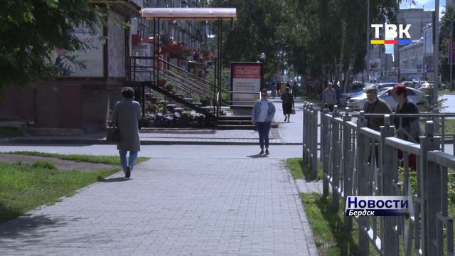 Две недели до дня голосования. Как будет в Бердске проходить голосование по поправкам в Конституцию смотреть онлайн