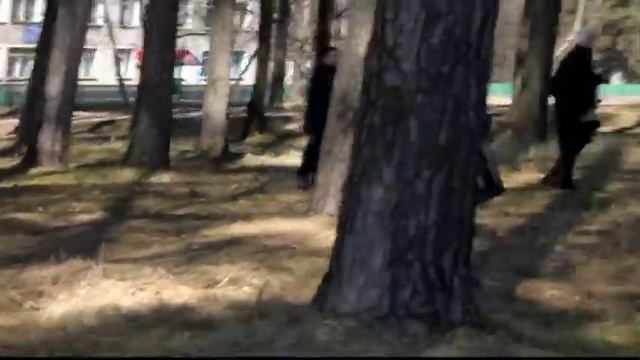 На общегородском субботнике г. Жуков Калужская область 2014 год смотреть онлайн