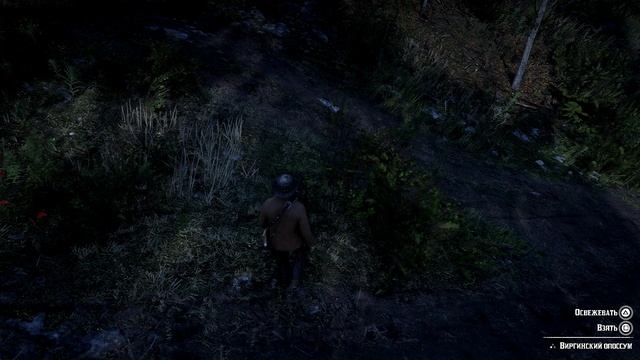 Red Dead Redemption 2 - Испытание Мастер-охотник 9 \ 10 смотреть онлайн