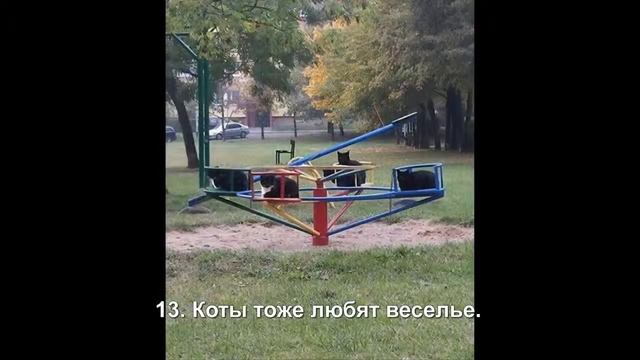 22 жизненных эпизода из категории «Без фото никто бы не поверил». смотреть онлайн