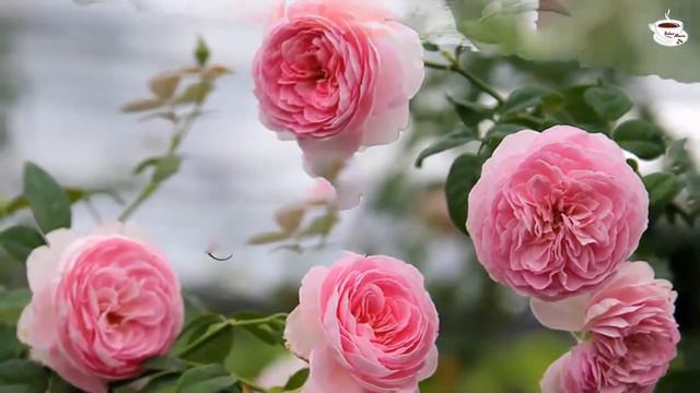 ОЧЕНЬ КРАСИВАЯ МУЗЫКА ЛЮБВИ! До слез красивая мелодия,от которых мурашки по коже! Relax Music #3