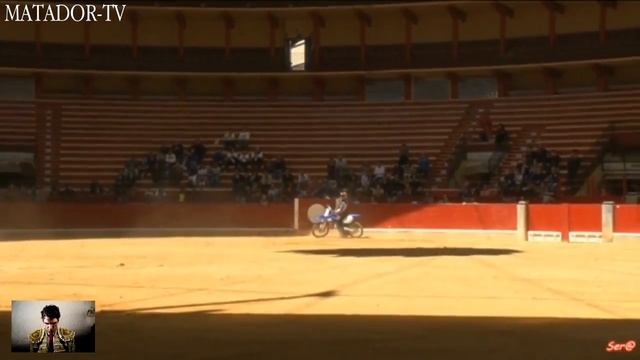 Parkour vs Deadly Bulls (Danger Art 2016) #3 смотреть онлайн