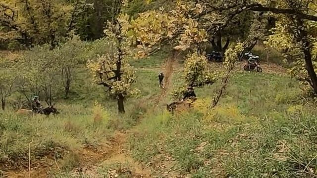 Конное Эндуро от Чапукио. ст.Ярославская смотреть онлайн