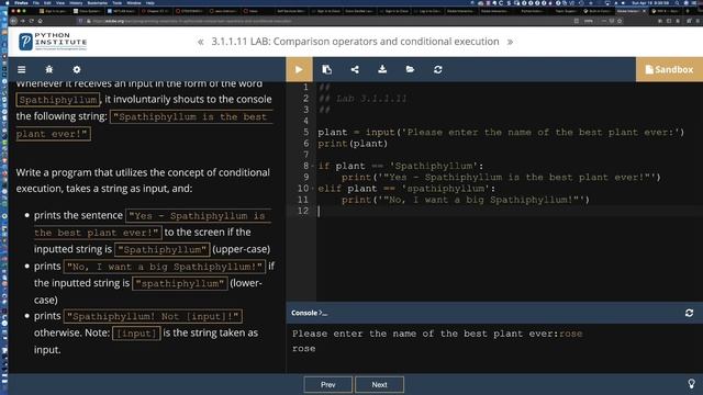 Cisco NetAcad Introduction to Python Course - Supplemental Lab Tutorial & Solution Set: Lab 3.1.1.1 смотреть онлайн
