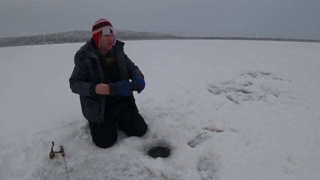 Озерный лосось малосольный.Сначала ловим и сразу солим. смотреть онлайн