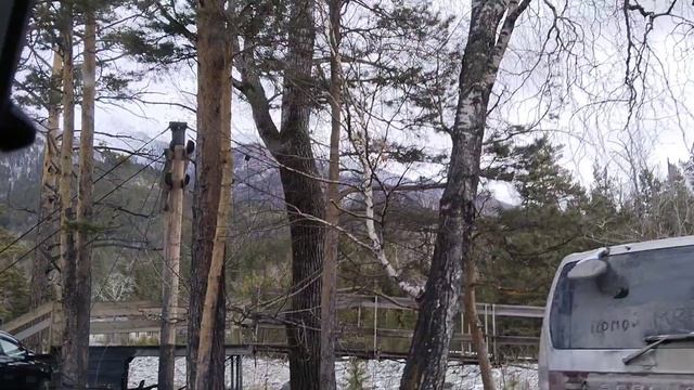 Аршан 2023 . Апрель. Отпуск на Аршане. Часть 2.