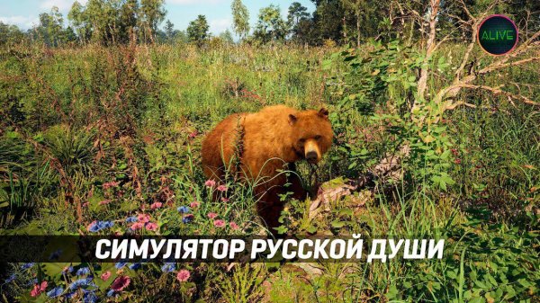 СИМУЛЯТОР РУССКОЙ ДУШИ