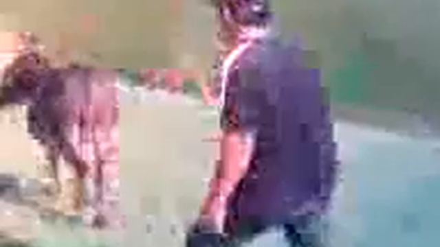 Заур истинный цовкринец 1 смотреть онлайн
