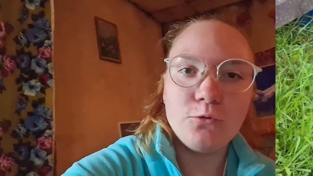 ВЛОГ 09.08.2020: Собираемся домой с дачи. Посадили 2 новых сорта малины. Милый котик Кузя. смотреть онлайн