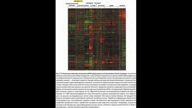 Общие представления о генетическом контроле смотреть онлайн