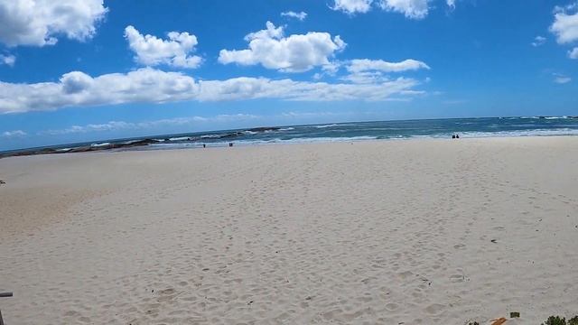 Кейптаун, ЮАР. Столовая гора. Кристенбош. Зоопарк. Сувениры Африка. смотреть онлайн