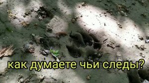 Почему рыба не клюёт? Особенности рыбалки!