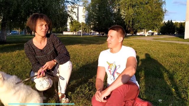 Японский шпиц: характер и описание породы смотреть онлайн