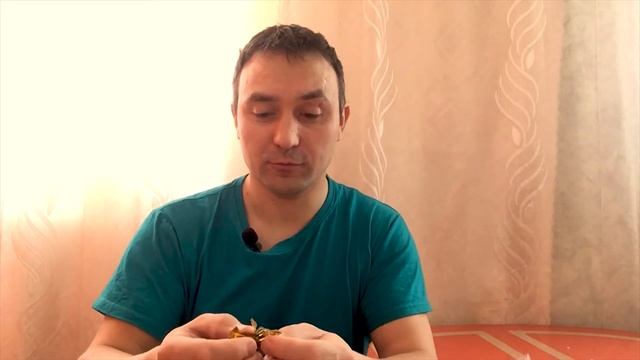 новые товары из AliExpress. Офсетные крючки. Слаги. BEARKING Tanta смотреть онлайн