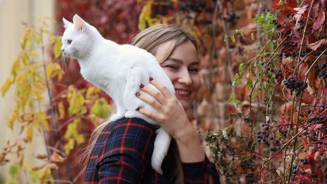 Стихотворение о любви. Позвони, если вдруг окажешься в моем городе... смотреть онлайн