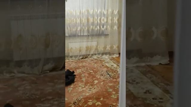 Зикр 10.10.2019 смотреть онлайн