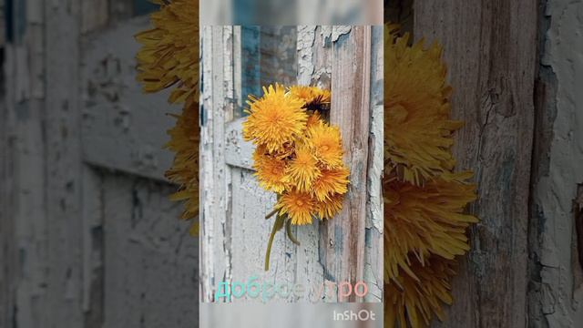 #тамараушакова смотреть онлайн