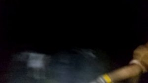 Охота на барсука с Лайками