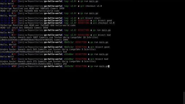 Fehler finden mit git bisect смотреть онлайн