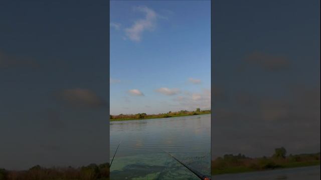 бешеный клев. рыба каждые 10 секунд смотреть онлайн