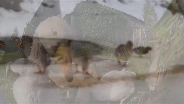 Содержание гусей смотреть онлайн