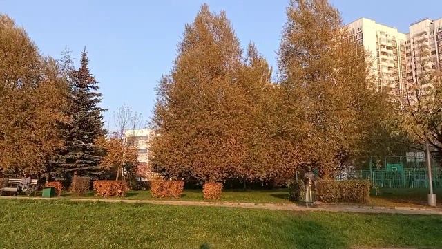 Шикардосный осенний вечер в Зеленограде! Понедельник 4 октября 2021. Гуляюсь!=) смотреть онлайн