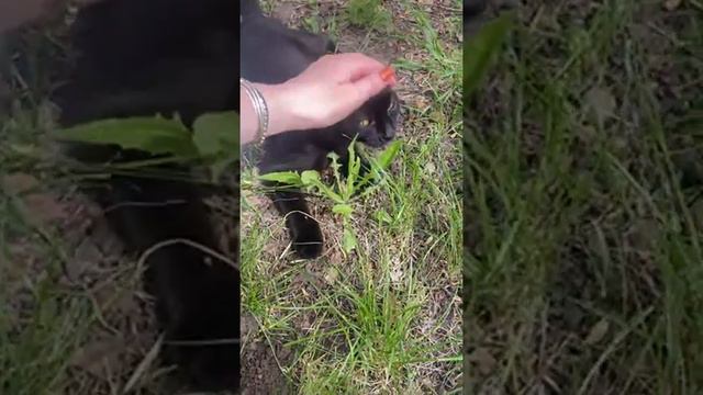 Релакс смотреть онлайн