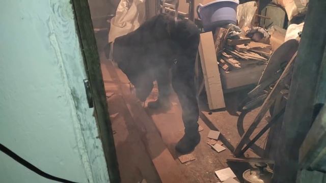 РЕМОНТ В ДОМЕ/ПОЧЕМУ ПЕРЕЕХАЛИ В РОССИЮ/ГДЕ НАШИ РОДНЫЕ смотреть онлайн