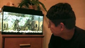 светодиодная подсветка аквариума своими руками вместо обычных ламп